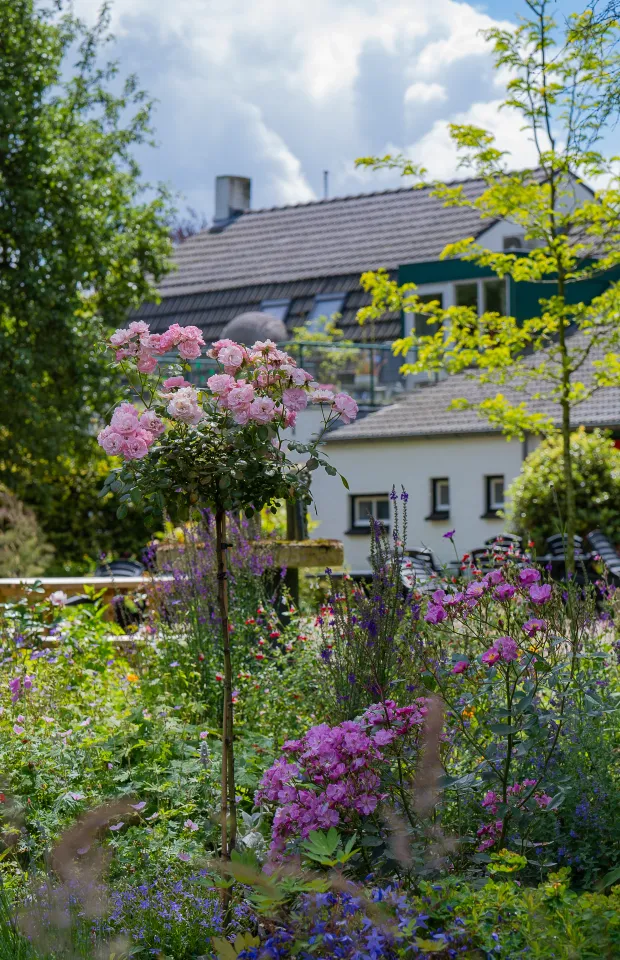 Tuin HB16